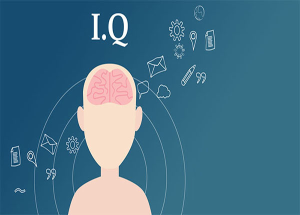 Người Việt có chỉ số IQ cao top đầu nhất thế giới